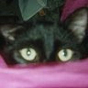 Meet your Posher, Nancy